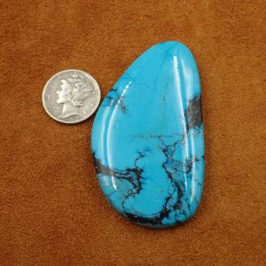 #754 Bisbee Turquoise 91.00ct. $910.00